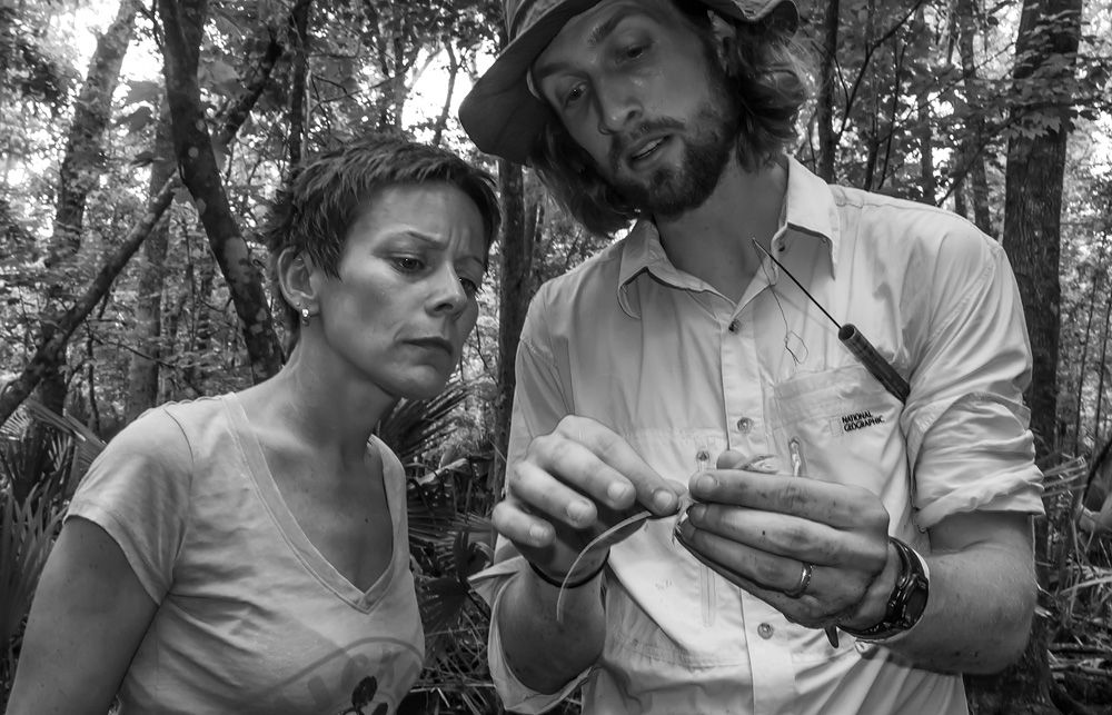 Neil discusses a green anole (Anolis carolinensis) with iLCP photographer Karine Aigner. Photo by Todd Amacker.